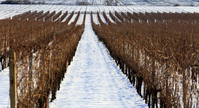 Lesz hó karácsonykor? A mesterséges intelligencia most megmondja a tutit!