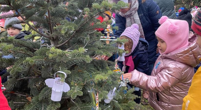 Az óvodások együtt díszítették fel a Széchenyiváros karácsonyfáját – fotók, videó