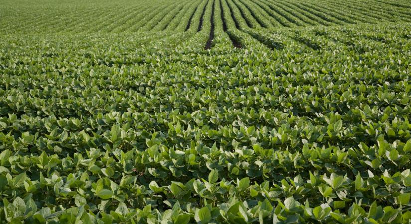 Megjelent az Agro Napló legújabb száma: erről nem érdemes lemaradni