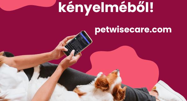 Állatorvosi segítség bárhol, bármikor - Elindult a magyar fejlesztésű PetWiseCare applikáció