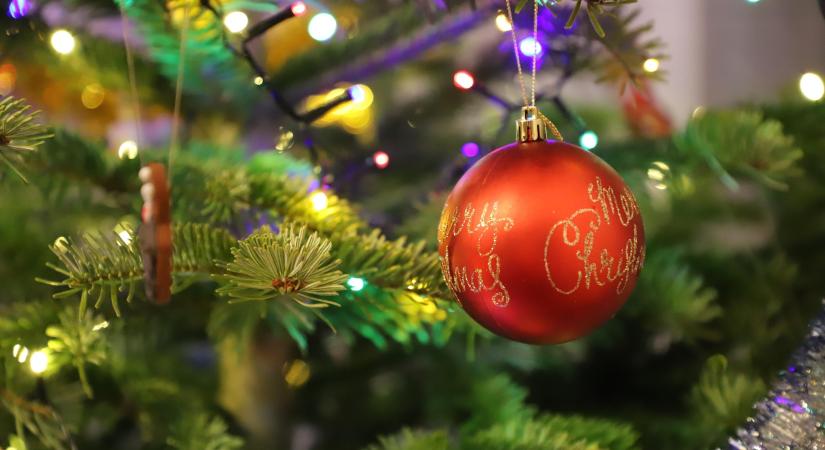 Ökológiai szempontból a műfenyő a legrosszabb