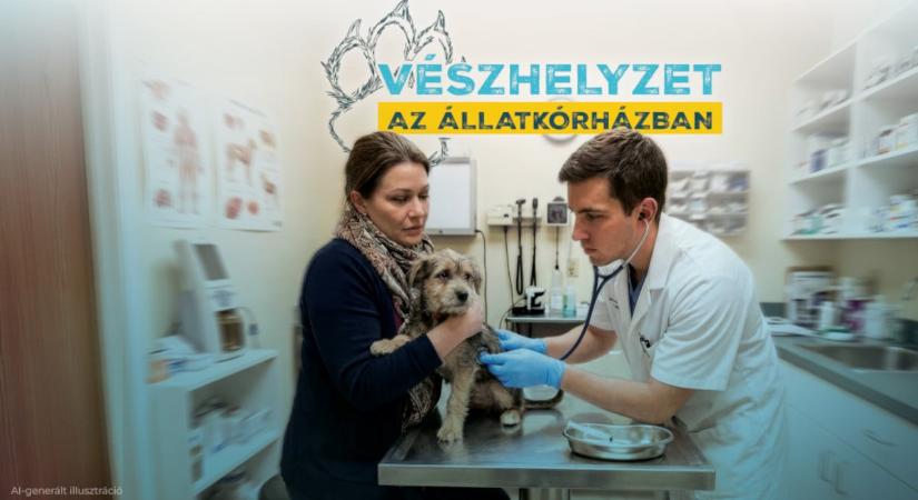 Vészhelyzet az állatkórházban – új állati reality indul