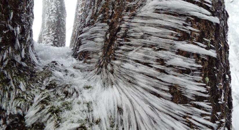 Fotókon a zúzmarás csoda Dobogókőn: jégbe fagyott mesevilág várta a látogatókat