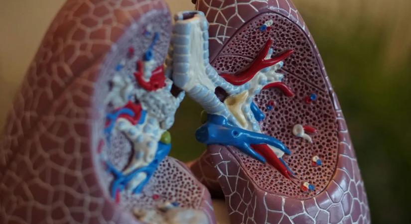 Így csökkenthetők a dohányzás veszélyei – tanácsok az egészségért