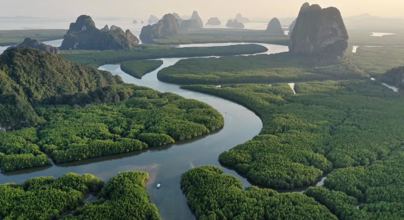 Egyre jobban bíznak a vállalatok a karbonkreditekben a Schneider Electric tanácsadó üzletágának, az SE Advisory Servicesnek a felmérése szerint