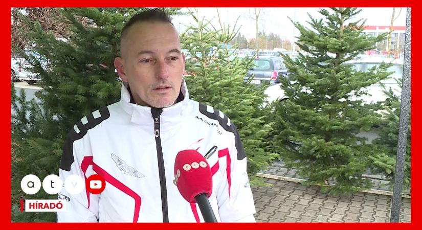 Egyelőre nincs roham a fenyőfákért – így alakulnak idén az árak