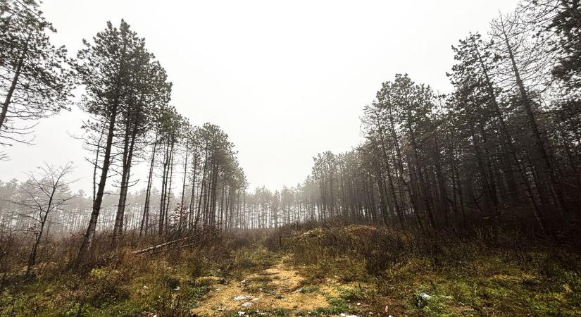 Nem lesz mindenhol ugyanolyan a nap – ezt tartogatja a mai időjárás