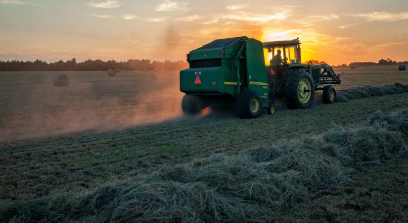 Az ország éléskamrái a vetőmagtól a csirkéig: így teljesített a top10 hazai agrárcég