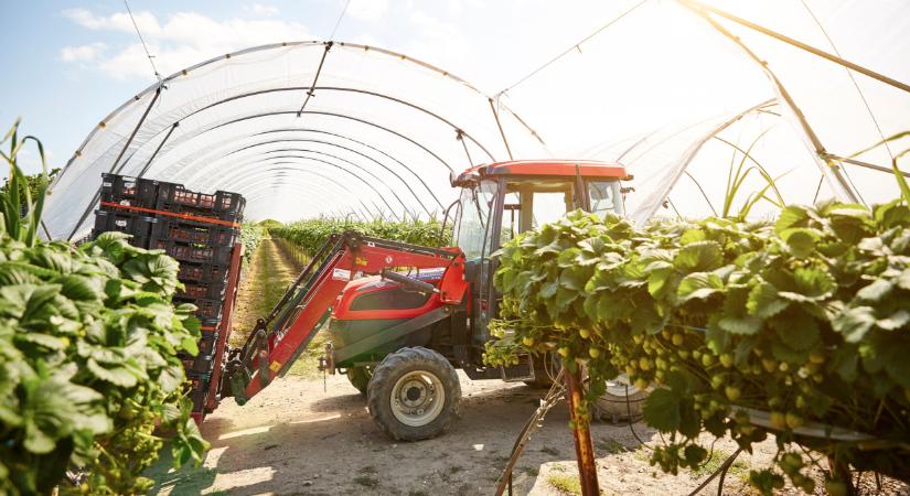 Kivárnak a magyar gazdák: erre inkább nem költenek, pedig megérné