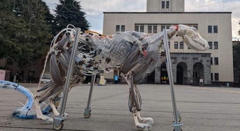 Horrorfilmbe illő robotkutyát fejlesztettek Japánban – és ez még csak a kezdet