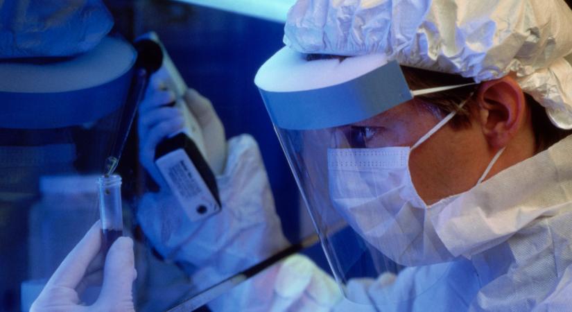 Meredek kijelentést tett az önimádó techmilliárdos: nem vicc, az örökéletet célozza - akár még be is jöhet neki?!