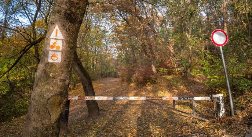 Terepbejárás után jön a nagy beavatkozás Budán