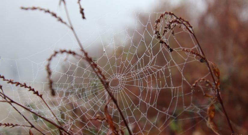 Felhős, helyenként ködös idő várható