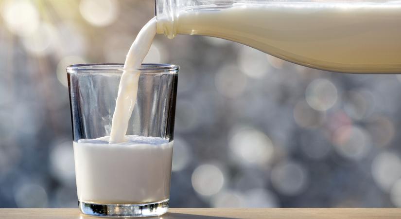 Ennyi kalcium van egy adag sajtban, halban és joghurtban