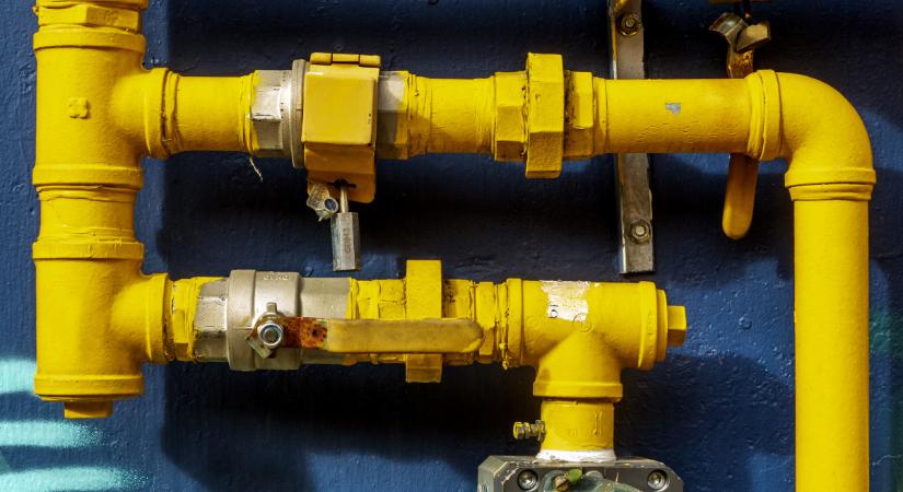 Magyarországéhoz hasonló mentességet kapott Japán Donald Trumptól