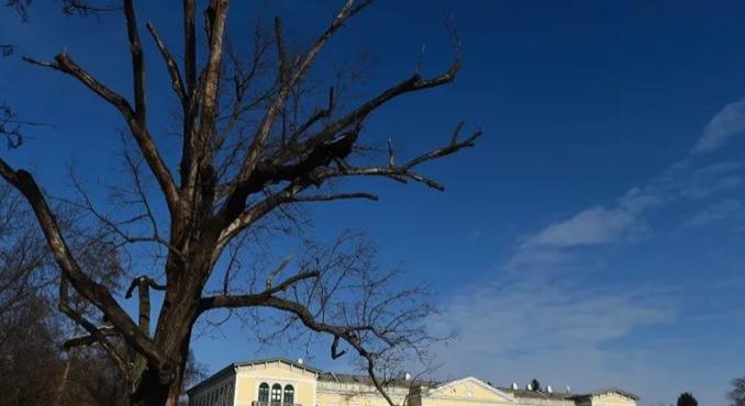 Videón, ahogy egy felügyelő fojtogat egy fogyatékkal élő gyereket a fóti gyerekotthonban