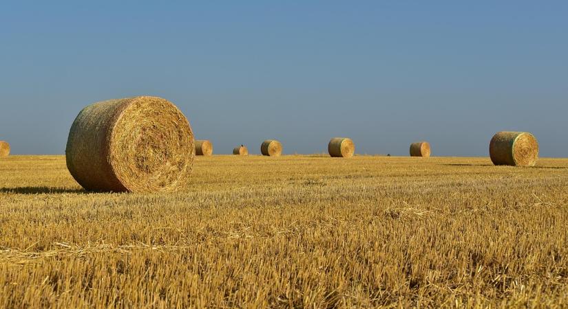Változik a földbérlés: mutatjuk a lényeget