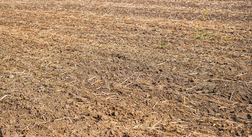 Hiányzik a földeknek az eső