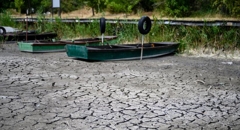 Drámai a helyzet a Velencei-tónál: eltűnt a víz kétharmada, a horgászok csalódottak  Videó