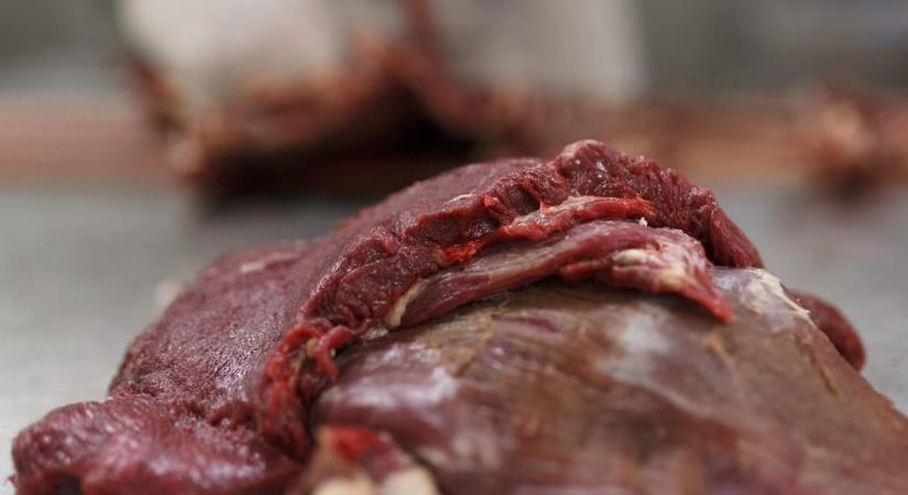 3 tonna élelmiszert vont ki a forgalomból egy vadhús-feldolgozó üzemben a Nébih