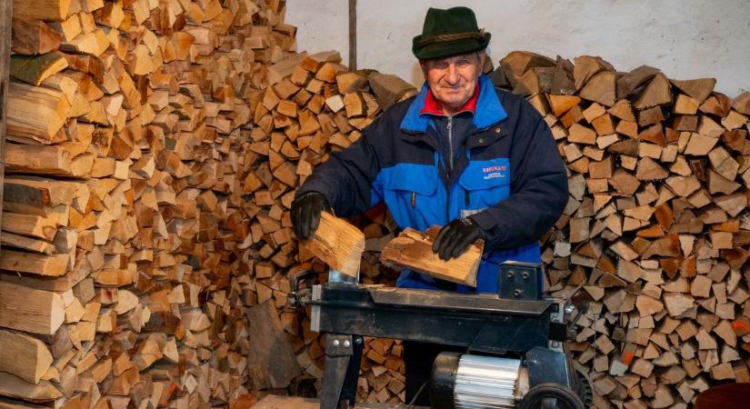 Tüzelőpiac a fagyok előtt – A szociális fa sok családon segít, de van szén is bőven - fotók