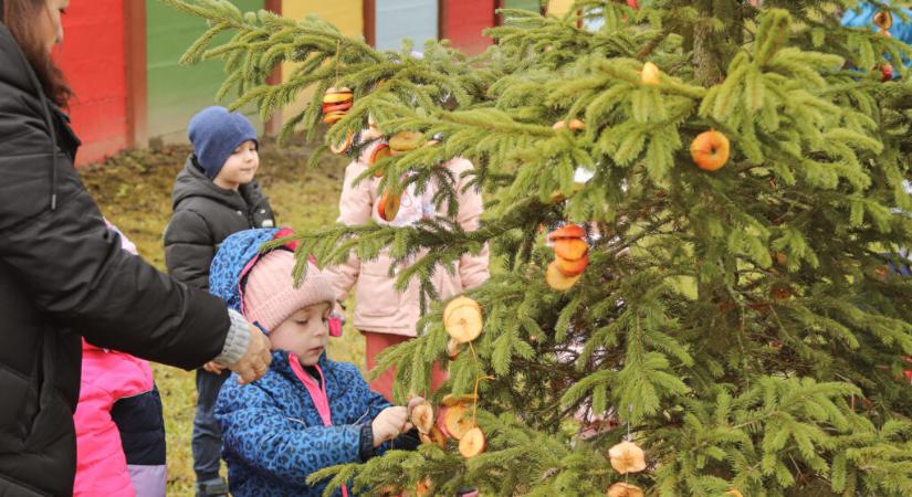 Madárkarácsony a Nyitnikék Óvodában