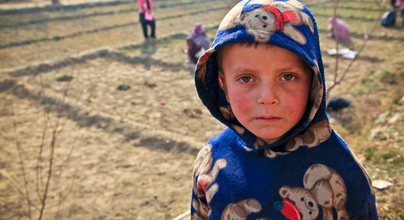 Vita a családi pótlékról és a munkanélküli-segélyről