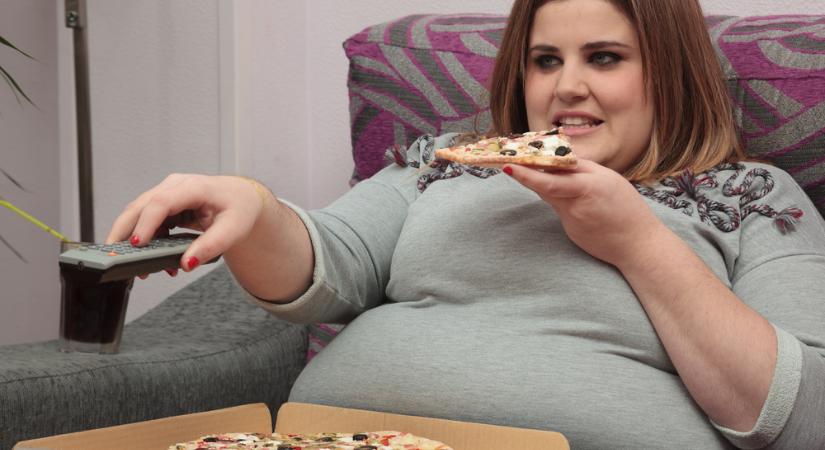 Az emberi méltóság érvényesülését vizsgálja a médiatanács