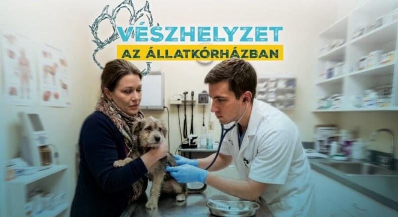 Vészhelyzet az állatkórházban – magyar állatorvosok munkája élesben, egy új realityben