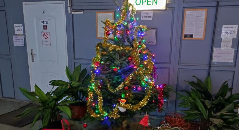 Megérkezett a Konzum karácsonyfája, az ajándékok bekerültek alá