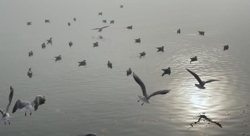 Advent a Balaton partján