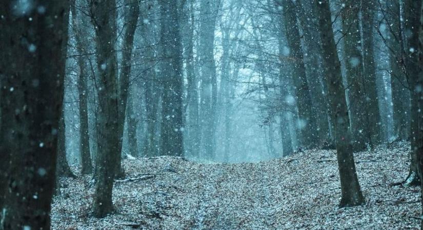 Lövések dördülhetnek az erdőben – erre figyeljenek most a túrázók