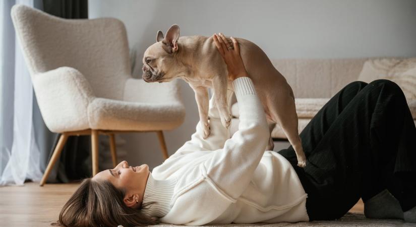 A tudomány megerősítette, amit minden gazdi tudott: az állatod érzi, ha baj van