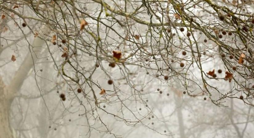 Ma még ködös lesz az idő, de már láthatáron a változás