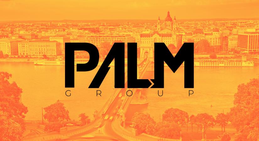 PALM Group: konverziófókuszú weboldalkészítés és hirdetéskezelés