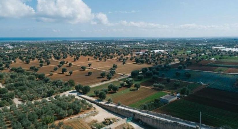 Új földtulajdon- és haszonbérleti szabályok 2026-tól: mutatjuk mi változik