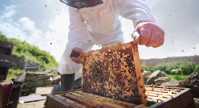 Megkezdődtek a kifizetések: több ezer magyarnak jár most a pénzből