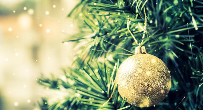 Ökológiai szempontból jobb a valódi fenyőfa, mint a műfenyő