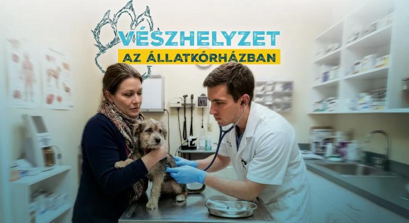 Új sorozat érkezik a TV2-re, ilyen még nem volt! - Ezt nem érdemes kihagyni