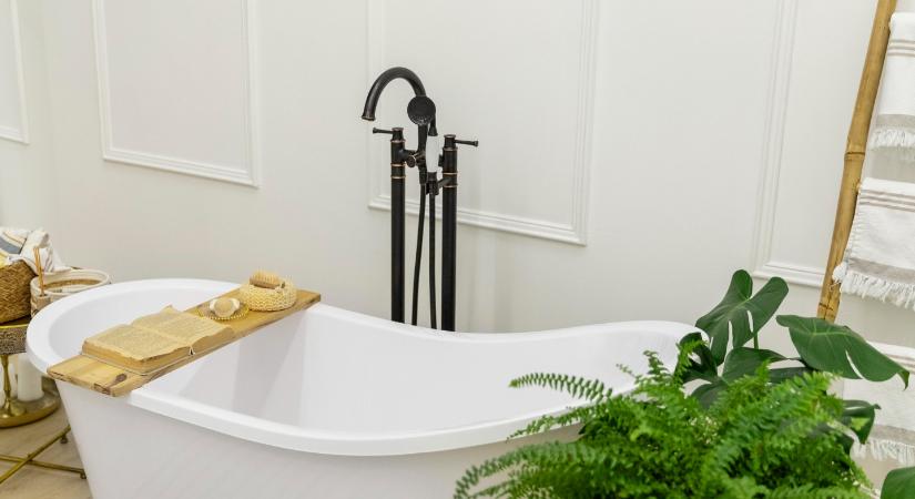 3 penészűző szobanövény, ami a fürdőszobában is nagyszerűen érzi magát