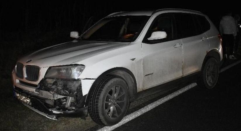 Váratlan vadbukkanás okozott baleseti láncreakciót a 6-oson