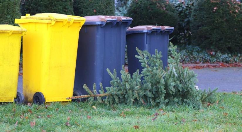 Az ünnepi és az év eleji hulladékszállítással kapcsolatos legfontosabb tudnivalók
