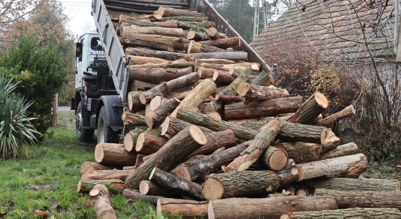 Nem maradtak segítség nélkül: újabb család kapott téli tüzelőt Perkátán