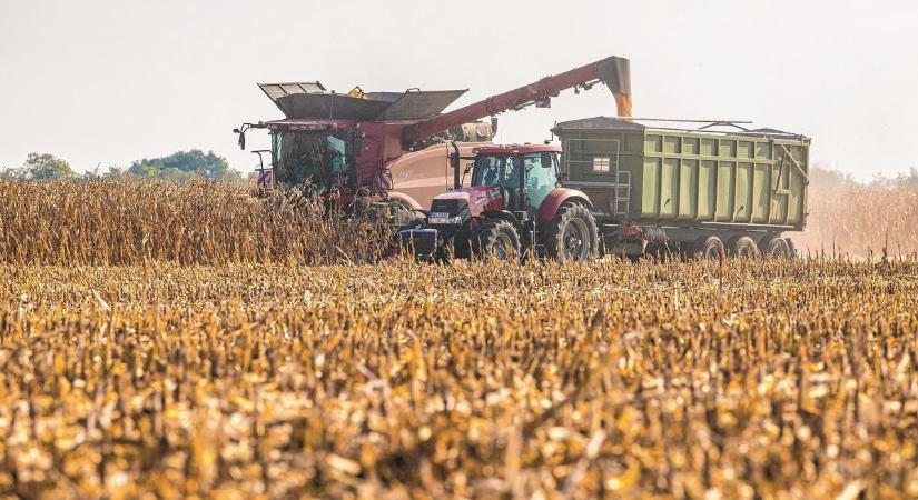 Új pályázatokkal is segíti a gazdákat az agrárkamara Baranyában