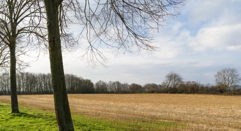 Olyan meleg rohanta le az országot, amilyet rég láttunk: 5 éve nem volt ilyen