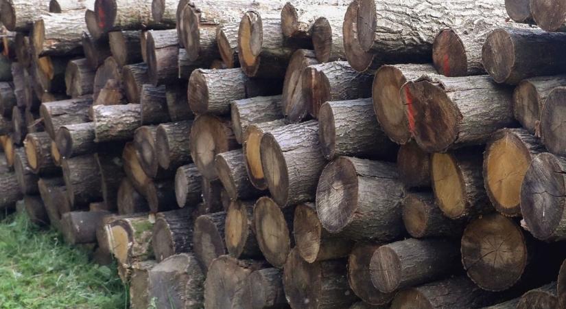 Ne maradjon senki a hidegben: tűzifával menti meg közel száz család telét a bordányi önkormányzat