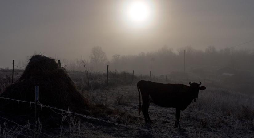 Hol bújhat elő a nap a köd birodalmában?