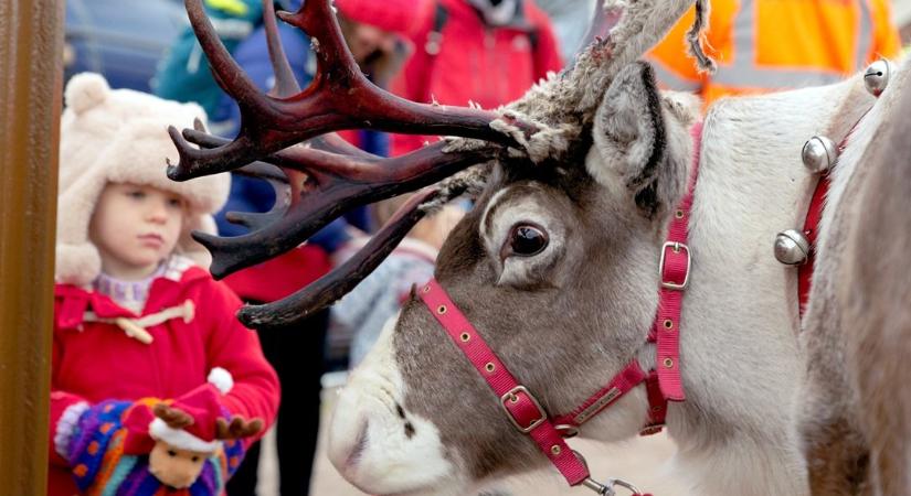 Ezzel készül az ünnepekre a Viasat World