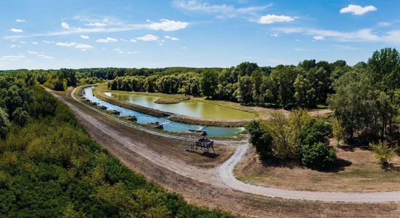 Szolnok mellett gigantikus piramist találtak a föld alatt, szenzáció az Alföldön, a világ tátott szemekkel követi az eseményeket