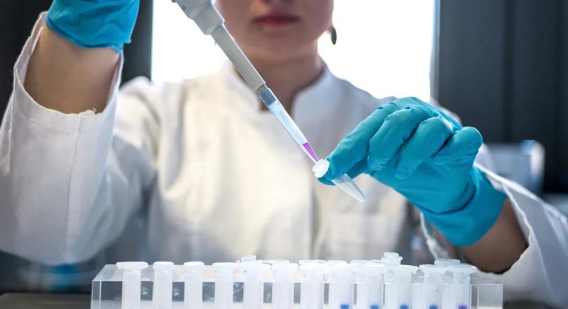 Megvan a rák ellenszere? Érdekes dologgal kísérleteznek a tudósok